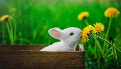 开云娱乐app安全登录指南：畅享极致娱乐体验